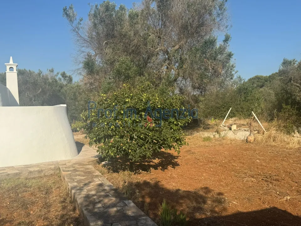 Farm hus i San Vito dei Normanni, Brindisi - foto 5